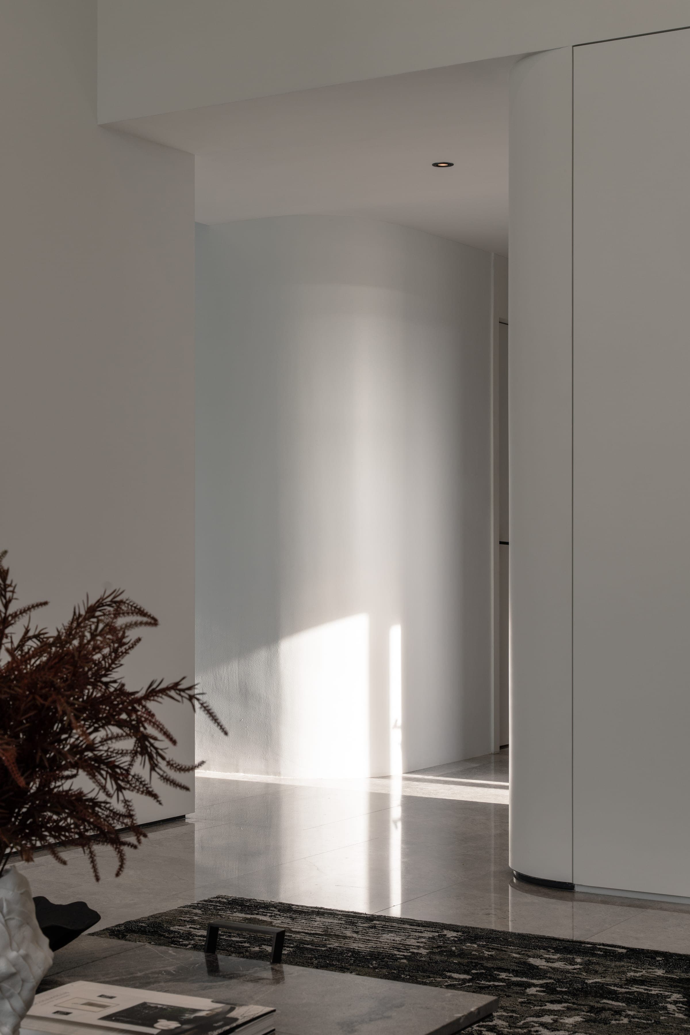 Natural light and planting at ARQ10 L-House