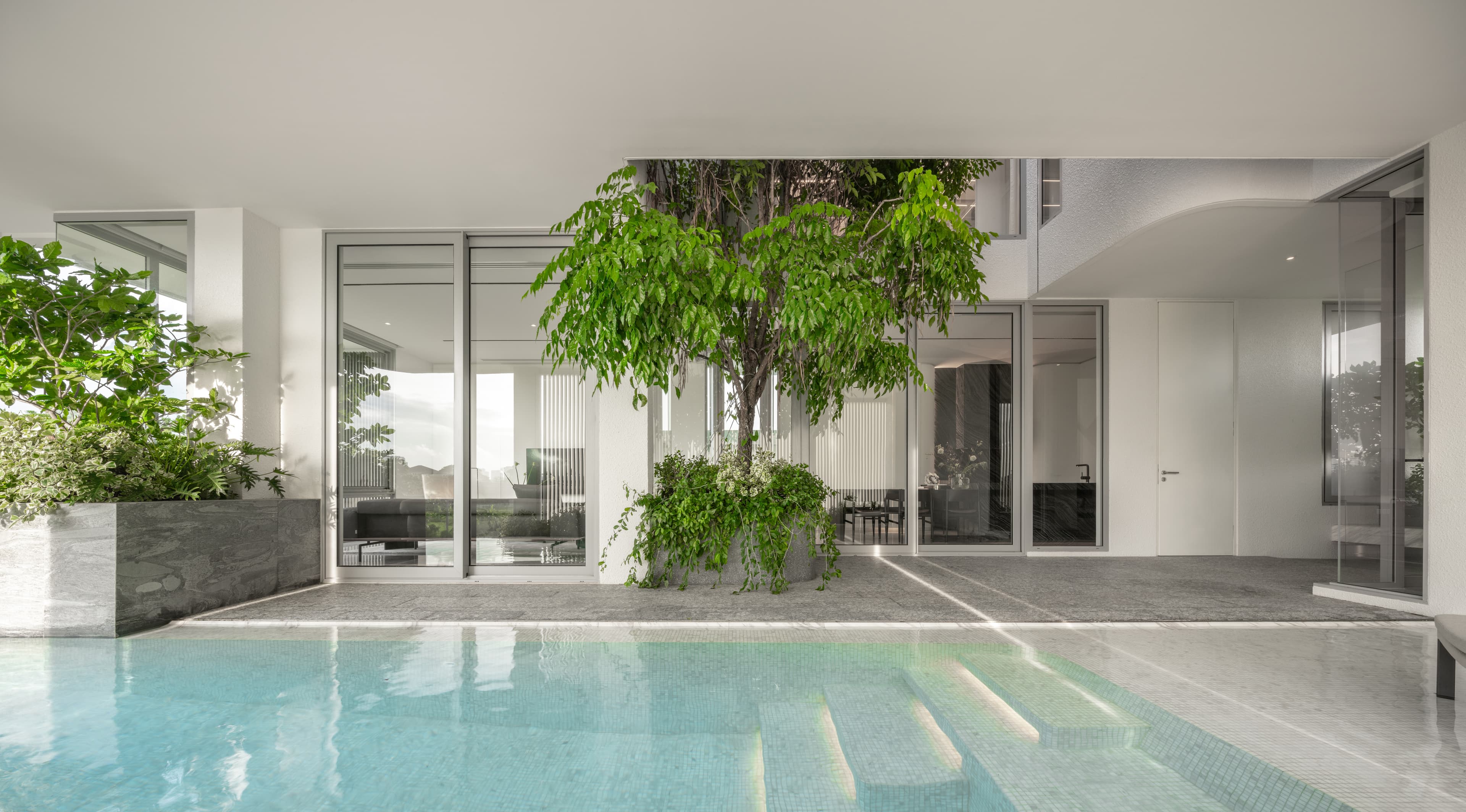 L2 — pool terrace with ficus