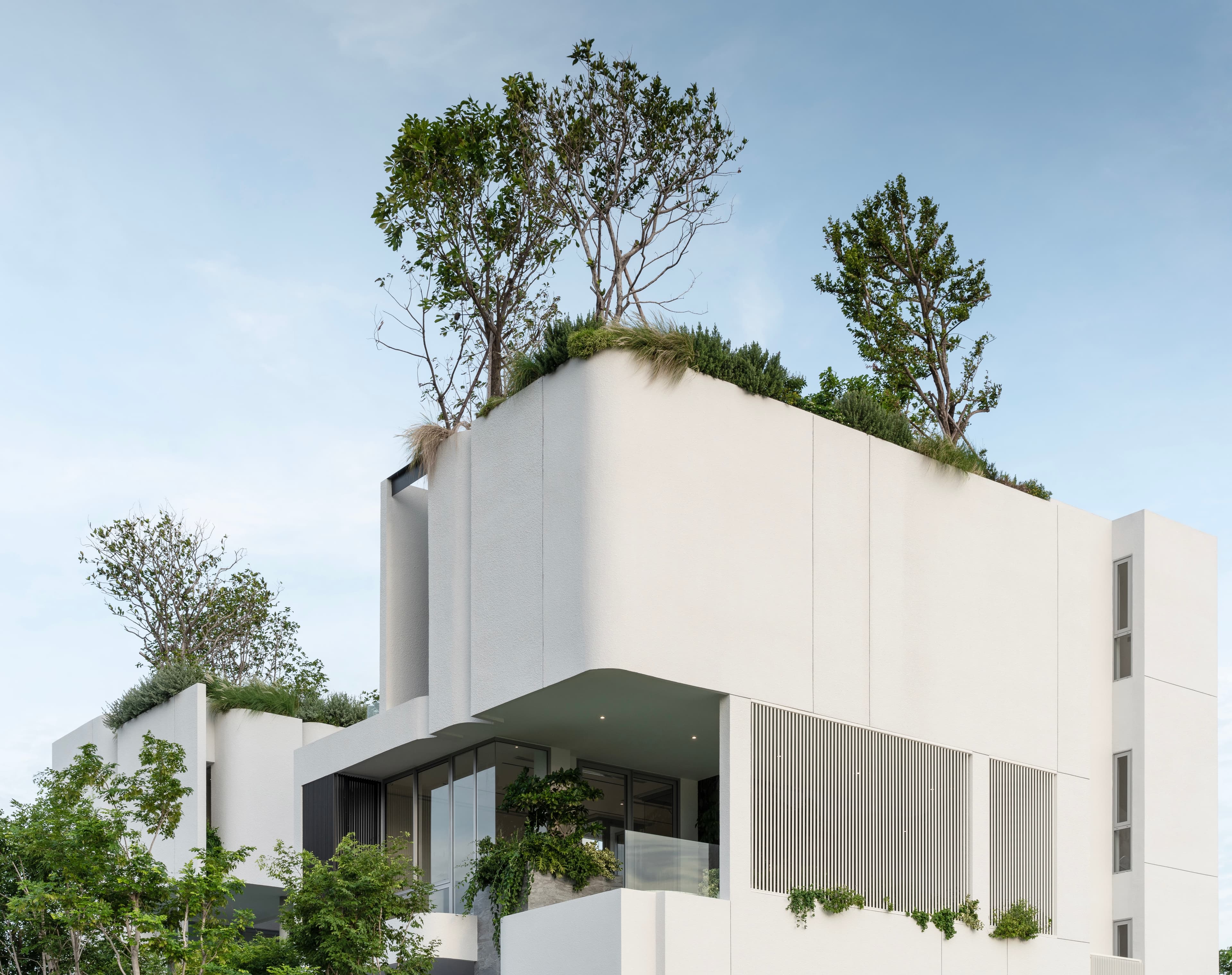 Rooftop garden — trees rising above the facade