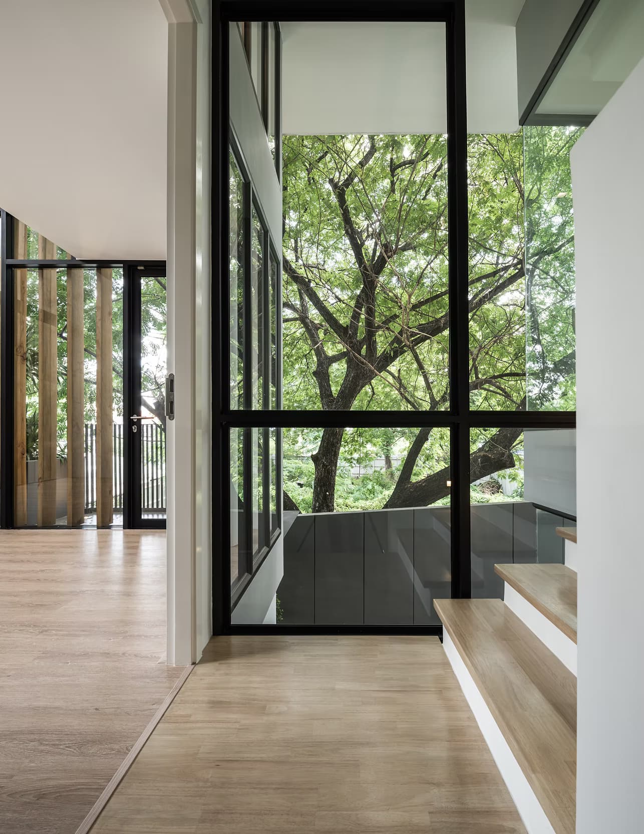 Signature Rama IX 55 — image 1